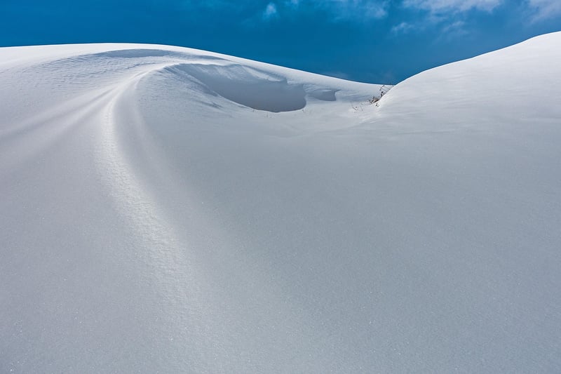 Aspen